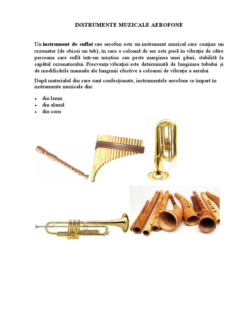 Instrumente Muzicale Info | PDF