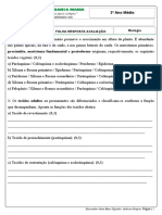 AVALIAÇÃO - 3º Ano Outubro Modificada