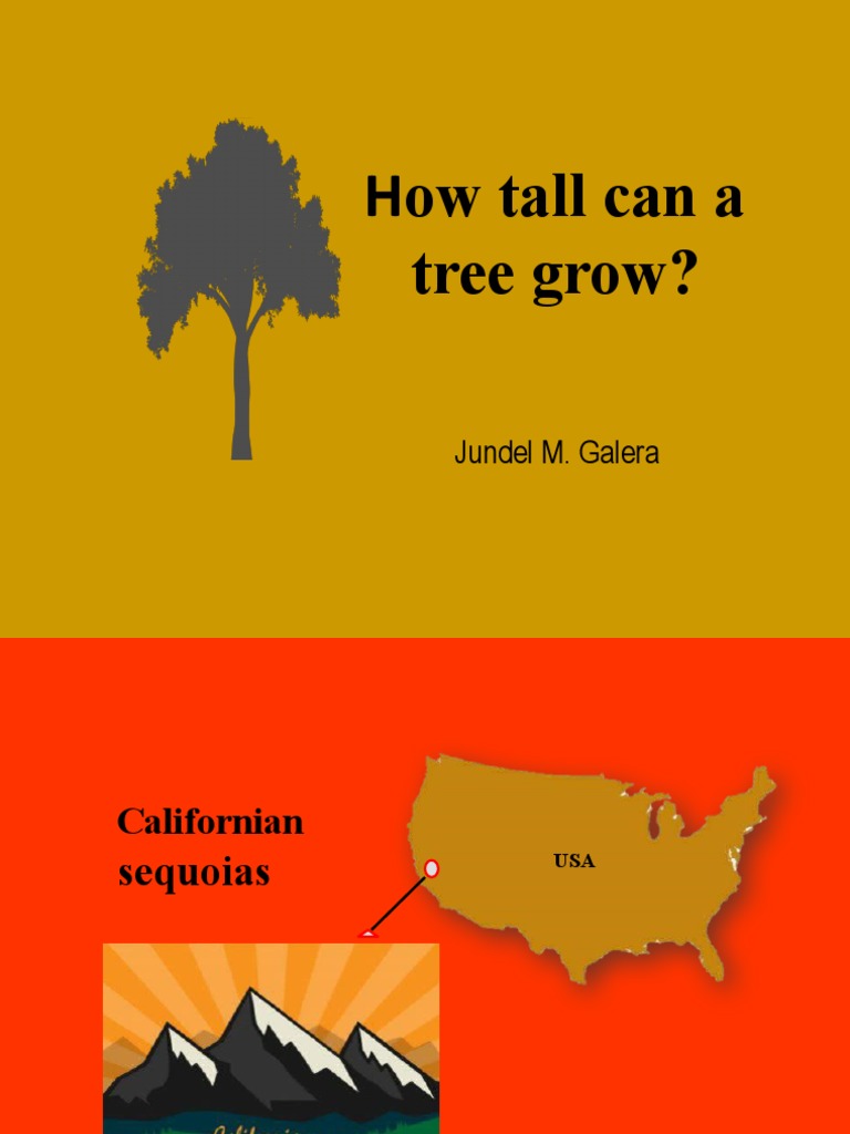 How Tall Can A Tree Grow PDF