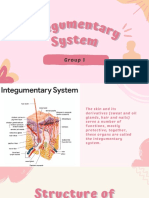 Integumentary System