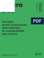 Zambie Ressources Abondantes Vulnerabilité Chocs