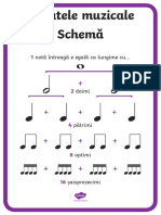 Schema Duratelor Muzicale - Plansa A4