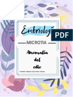 Microtia: anomalía congénita del oído externo