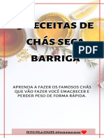 BRINDE- RECEITAS DE CHÁS SECA BARRIGA