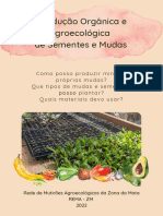 Producao Organica e Agroecologica de Sementes e Mudas
