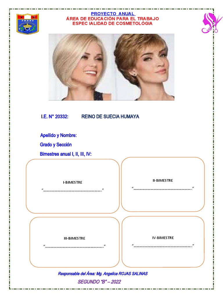 Proyecto Anual 22-2b | PDF