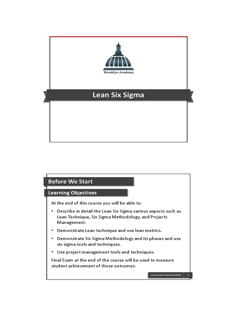 Lean Six Sigma | PDF | Six Sigma | Lean Manufacturing