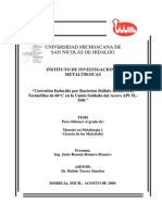 Universidad Michoacana de San Nicolás de Hidalgo: Instituto de Investigaciones Metalúrgicas