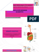 Fisiologia Digestiva - Clase I PDF