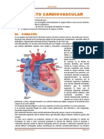 Aparato Cardiovascular