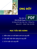 09.BS Tu - Ong Dot