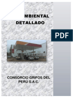 Plan Ambiental Detallado Consorcio Grifos Del Peru