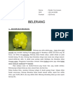 Belerang