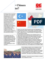 Xinjiang Chinees of Niet