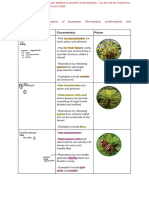 Animal and Plant Phylum