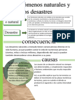 Asignacion Desastres Naturales