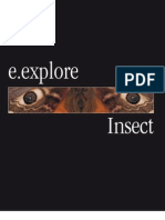 Insect