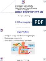 1.0. Bioenergetics - Dr. Masenga