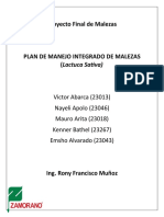 Plan de Manejo de Malezas en Lechuga (PMML