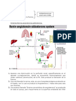 Notas 3er Parcial