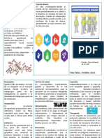 Triptico Seguridad Industrial