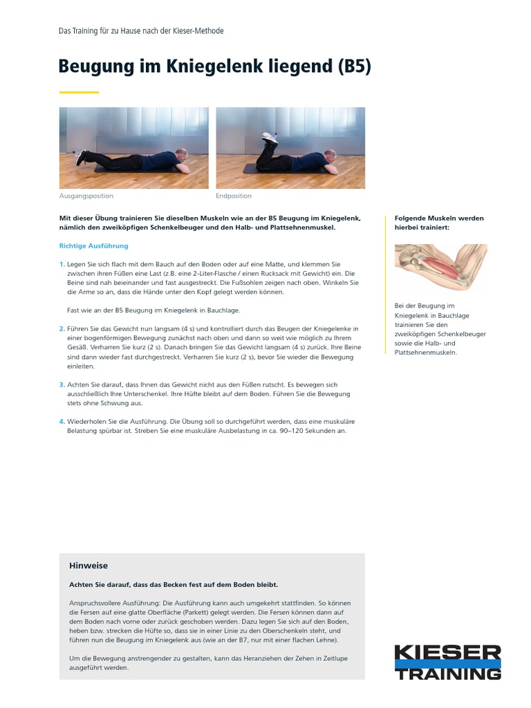 A Plus 1 Bungen Pdf