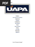 Tarea Final Español