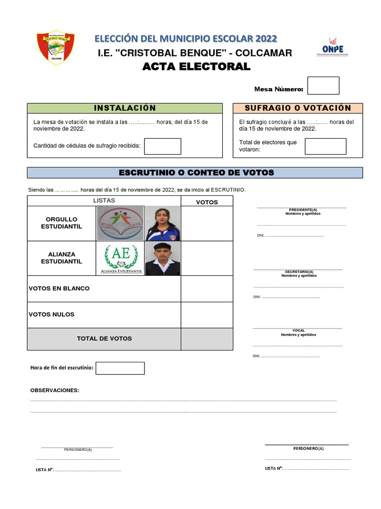 Acta Electoral PDF Votación Ley politica
