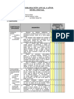 Programación Anual Actualizado