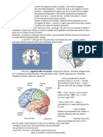 Medicina - Neurostiinte