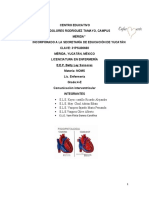 Comunicación interventricular