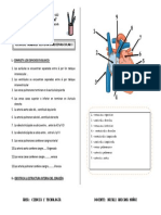 3° - Ficha de Trabajo - Sistema Cardiovascular I - 2022