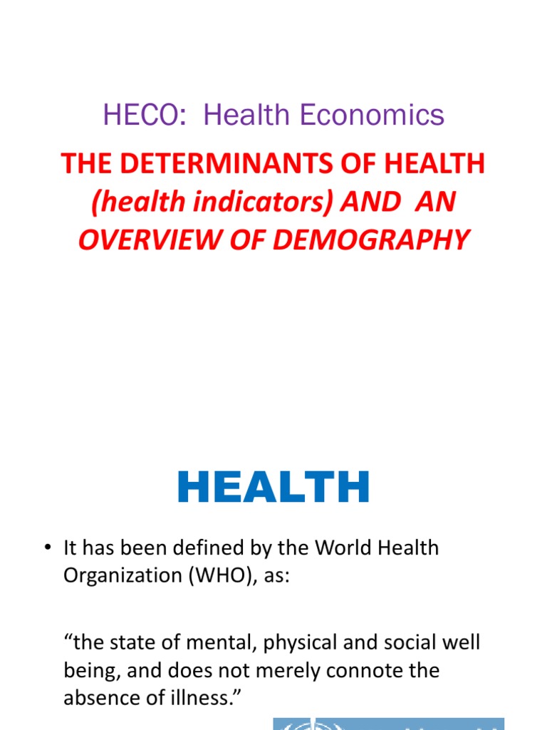 Health indicators essay 06 image