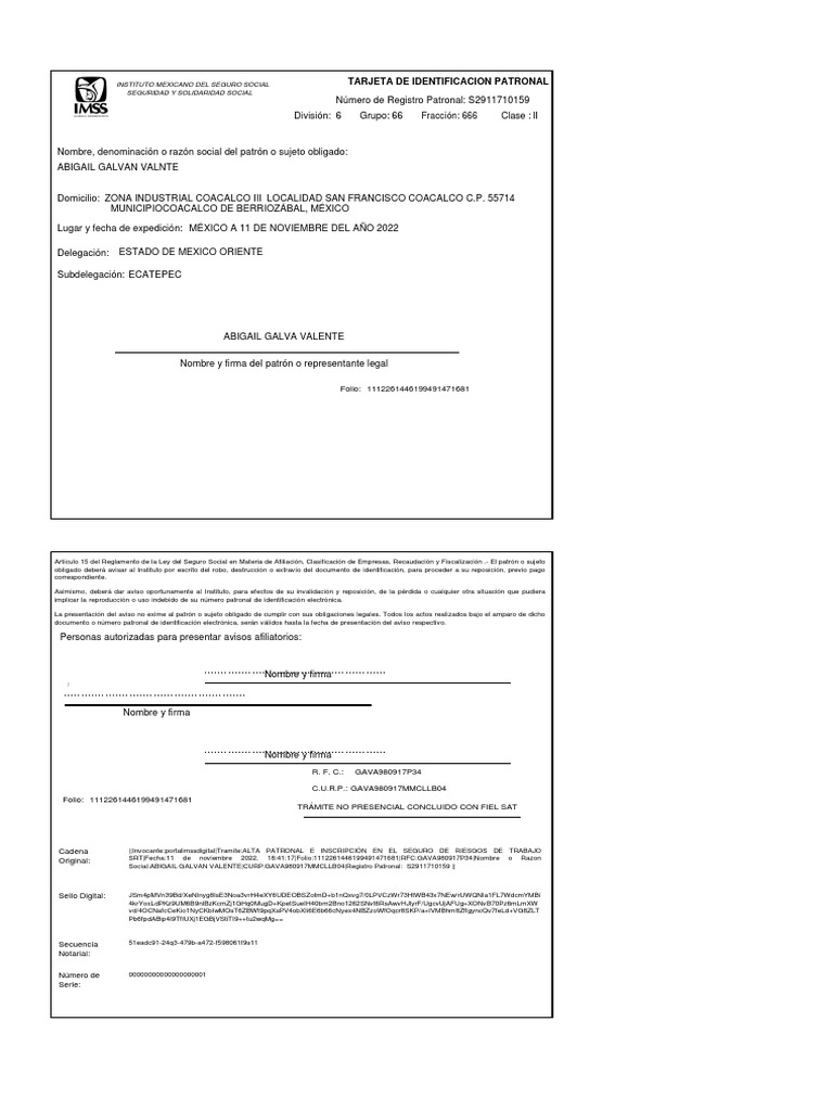Tarjeta de Identificación Patronal IMSS | PDF | México | Gobierno