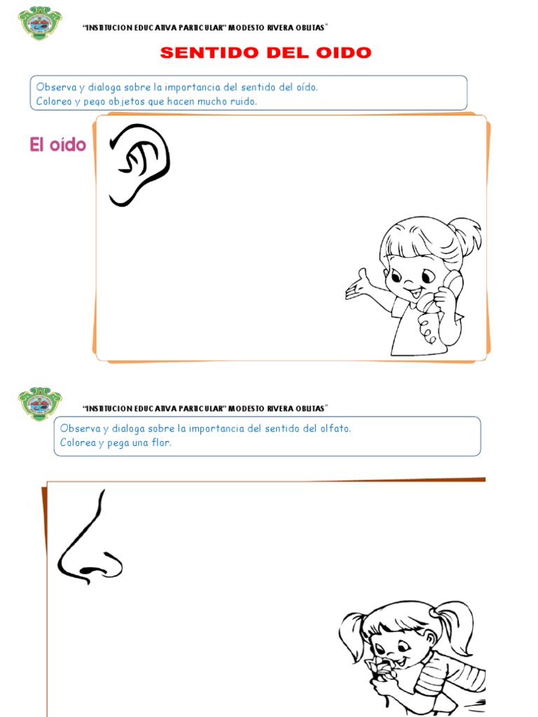 Sentido Del Oido Para Ninos De 3 Anos Pdf