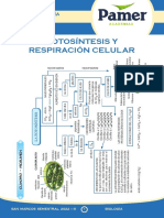BIOLOGÍA - S5 - Fotosíntesis y Respiración Celular