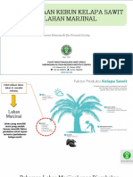 Pengelolaan Kebun Kelapa Sawit Di Lahan Marjinal