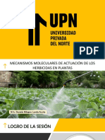 Mecanismos moleculares detoxificación herbicidas plantas