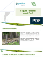 Presentación - Seguro Forestal Ago2022