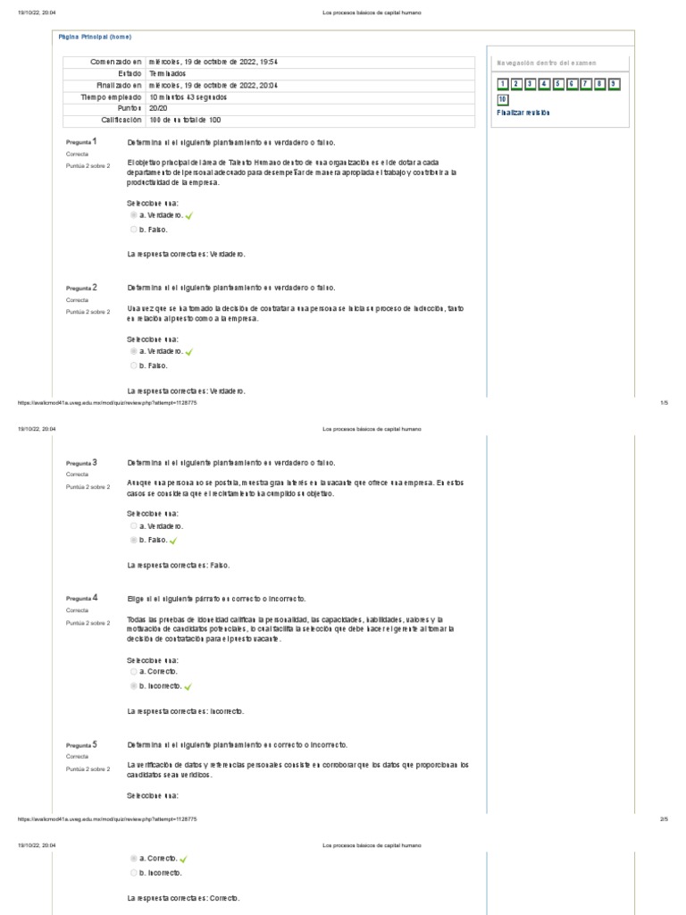 Los Procesos Básicos de Capital Humano | PDF | Reclutamiento | Business