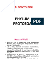 Phylum Protozoa