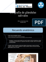 Ecografia Glandulas Salivales