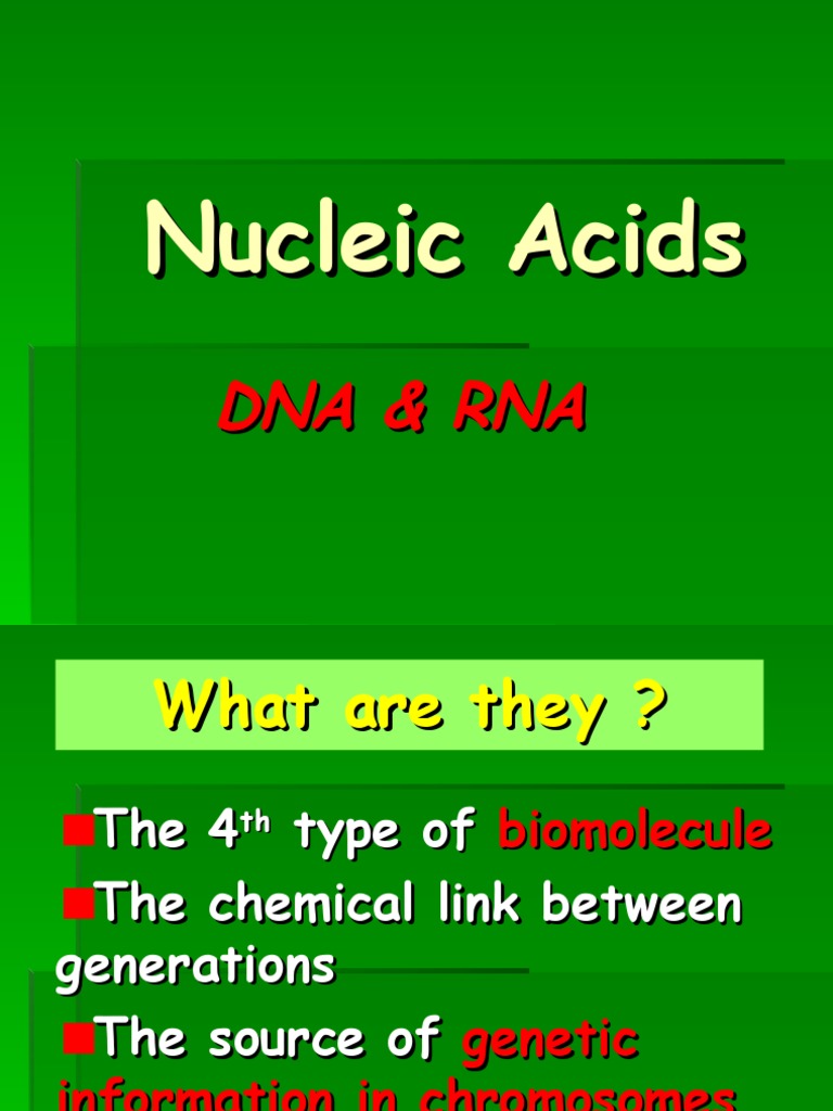 Nucleic Acids1 and Water PDF