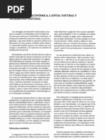 08. Valoración económica, capital natural y patrimonio natural