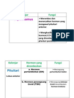 PJM-sistem Endokrin