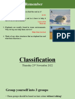 Classification