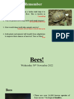 Bee Importance and Classification