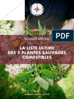 Apprendre Préparer Survivre La Liste Ultime Des Plantes Sauvages Comestibles