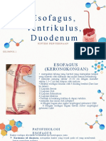 Esofagus, Ventrikulus, Duodenum: Sistem Pencernaan