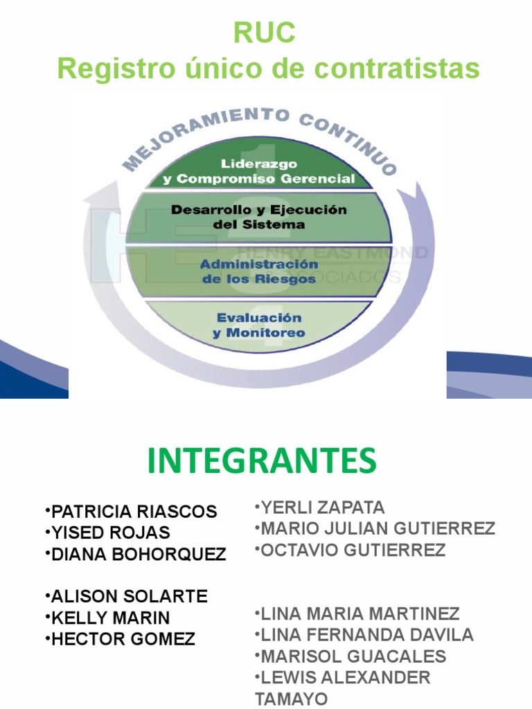Evidencia Del Ruc | PDF | Auditoría | Business
